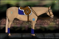 Horse Color:Palomino 