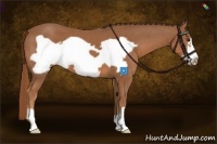 Horse Color:Chestnut Frame 