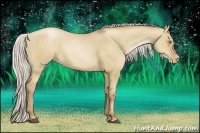 Horse Color:Silver Grullo Pearl