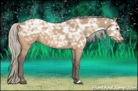 Horse Color:Silver Bay Ice Dun 