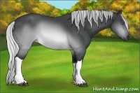 Horse Color:Silver Buckskin Chinchilla 