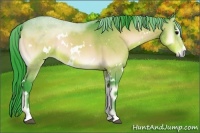 Horse Color:Watercolor White Spotted Bay Onyx Sabino