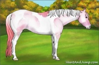 Horse Color:Watercolor Liver Red Onyx Roan Tobiano 