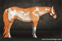 Horse Color:Watercolor White Spotted Liver Red Onyx