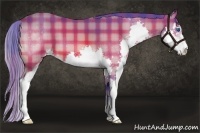 Horse Color:Watercolor Plaid Bay Sabino Splash