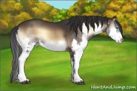 Horse Color:Brown Onyx Splash