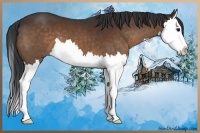 Horse Color:Bay Splash 