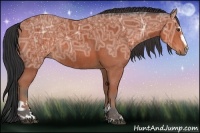 Horse Color:Bay Ice Sabino Rabicano 