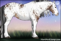 Horse Color:White Spotted Bay Ice Splash