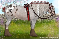Horse Color:White Spotted Liver Chestnut Varnish 
