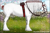 Horse Color:White Spotted Liver Chestnut Sabino Appaloosa