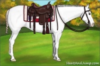 Horse Color:Buckskin Sabino Appaloosa 