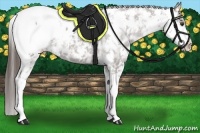 Horse Color:Liver Chestnut Ice Sabino Snowcap