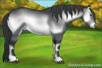 Horse Color:Brown Chinchilla Onyx 