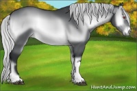 Horse Color:Silver Brown Chinchilla Onyx