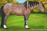 Horse Color:Brown Ice Tobiano Rabicano