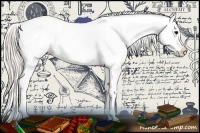 Horse Color:White Spotted Silver Black Appaloosa