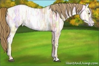 Horse Color:Liver Chestnut Ice Pearl 