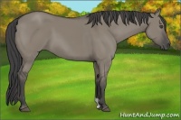 Horse Color:Smoky Grullo
