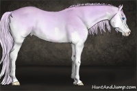 Horse Color:Watercolor Palomino Roan Onyx Splash 