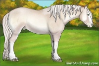 Horse Color:White Spotted Silver Buckskin Roan Pearl Onyx Rabicano 