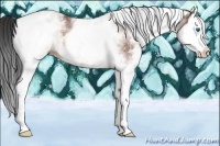 Horse Color:White Spotted Bay Splash 