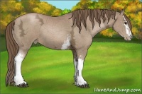 Horse Color:White Spotted Black Ice Pearl Sabino 