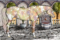 Horse Color:Nacre White Spotted Silver Amber Champagne Dun 