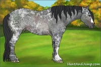 Horse Color:Brown Ice Rabicano 