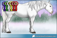 Horse Color:Silver Buckskin Roan Splash Blanket 