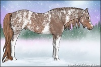 Horse Color:White Spotted Liver Chestnut Ice 