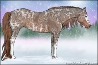 Horse Color:White Spotted Liver Chestnut Ice 