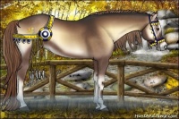 Horse Color:Liver Red Onyx Sabino