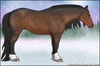 Horse Color:Liver Chestnut 
