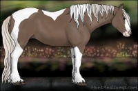 Horse Color:Silver Black Splash Tobiano 