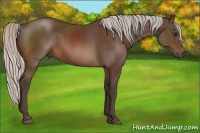 Horse Color:Silver Brown 