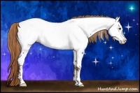 Horse Color:Liver Chestnut Frame Appaloosa 