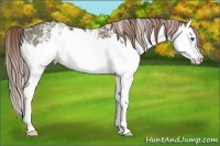 Horse Color:White Spotted Liver Red Dun Splash