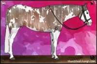 Horse Color:White Spotted Silver Brown Ice Sabino Splash Rabicano