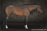 Horse Color:Buckskin Roan 