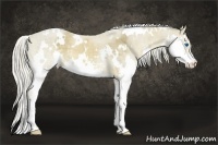 Horse Color:White Spotted Chocolate Palomino Splash Rabicano