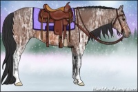 Horse Color:Bay Ice 