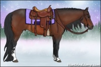 Horse Color:Bay Sabino Rabicano