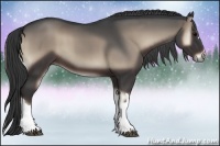 Horse Color:Blue Onyx