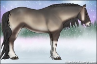 Horse Color:Smoky Blue Onyx 