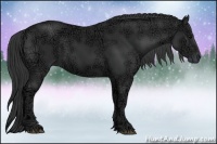 Horse Color:Black Ice Sabino