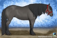 Horse Color:Grullo Rabicano 