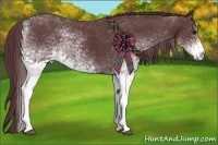 Horse Color:White Spotted Chocolate Black