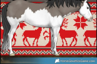 Horse Color:Grullo Splash 