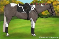 Horse Color:Silver Black Tobiano 